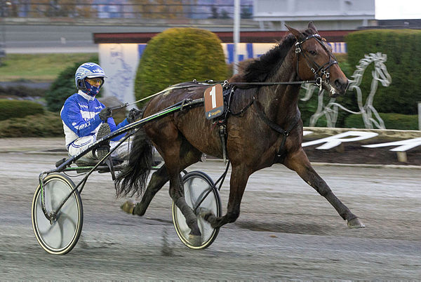 Banelengde: 1000 m - Oppløp: 200 m